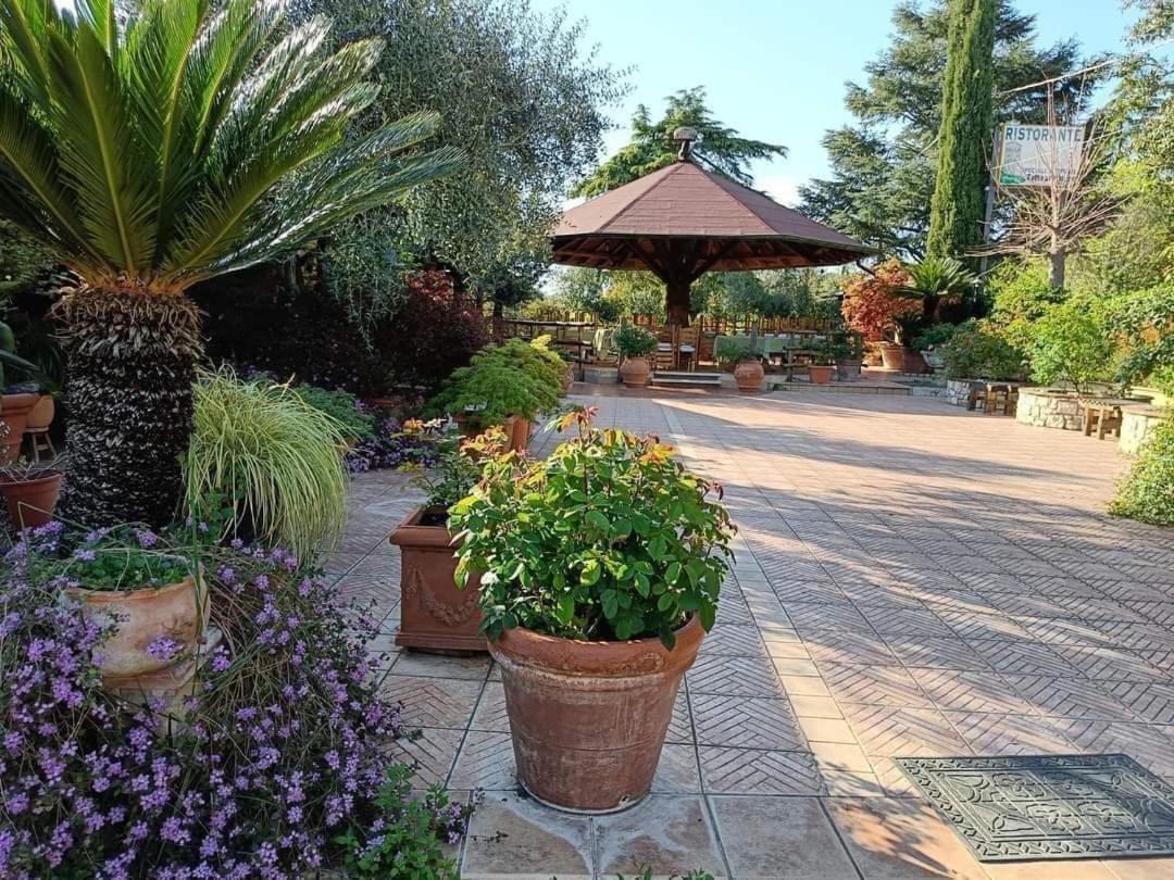 Guest House Romana Vecchia Monticchio (Lazio) Exterior foto